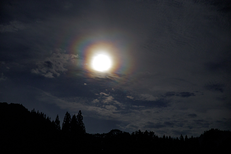 c0216331_11270441.jpg