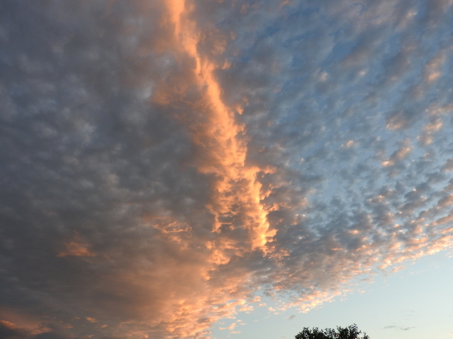 f0118332_01042373.jpg