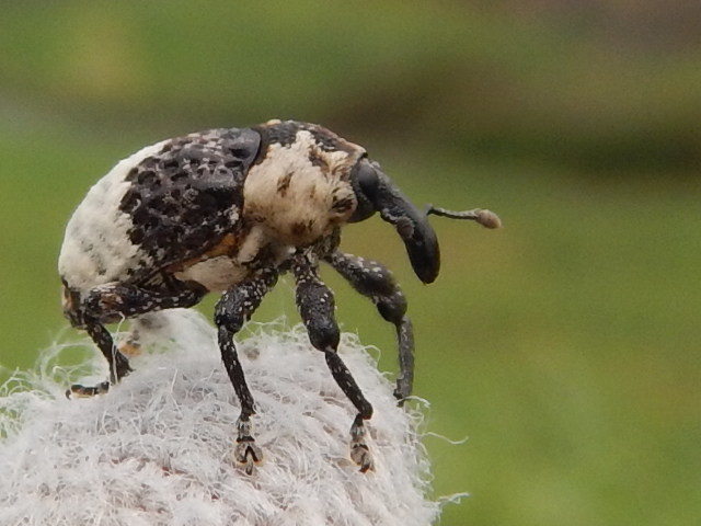 f0118332_01061666.jpg
