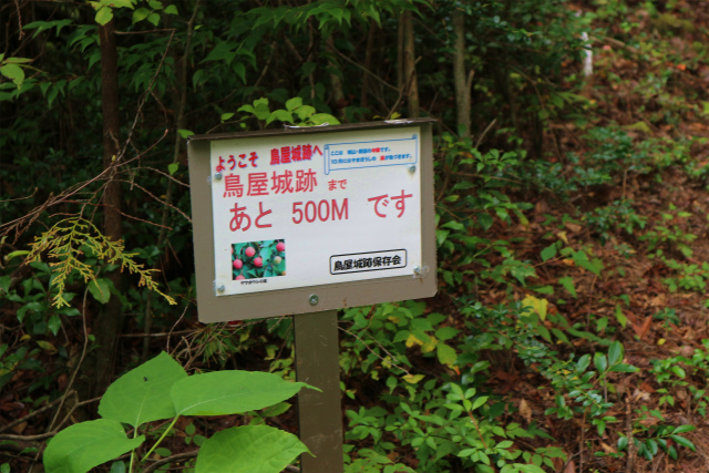 e0272335_529365.jpg
