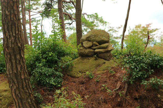 e0272335_5355142.jpg