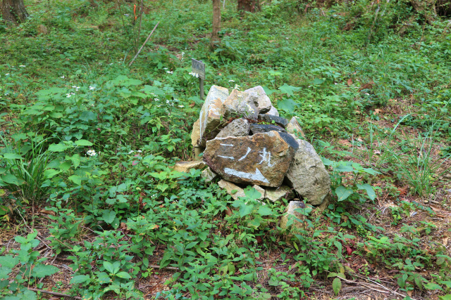e0272335_5401584.jpg