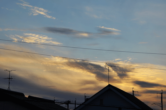 c0093046_19174548.gif
