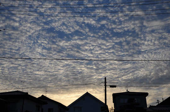 c0093046_19175752.gif