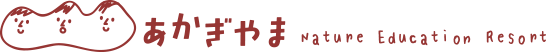 a0290852_20353621.png