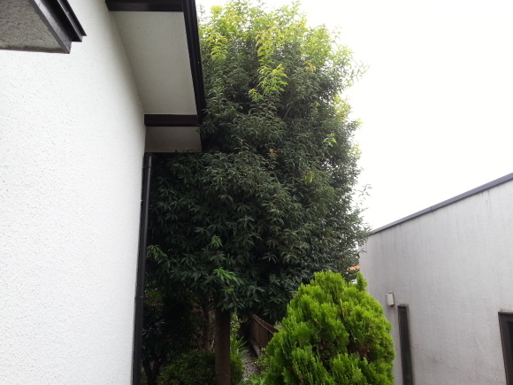 e0324952_08242827.jpg