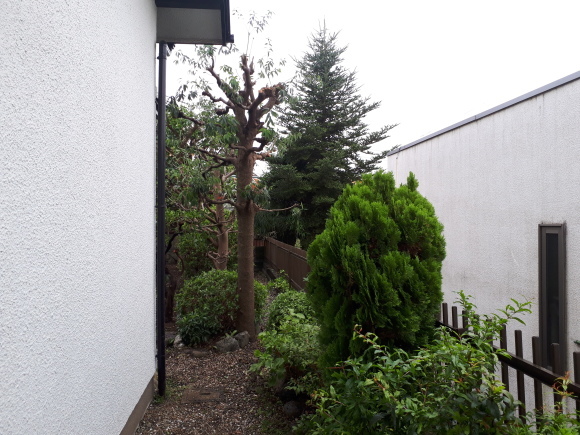 e0324952_08260885.jpg