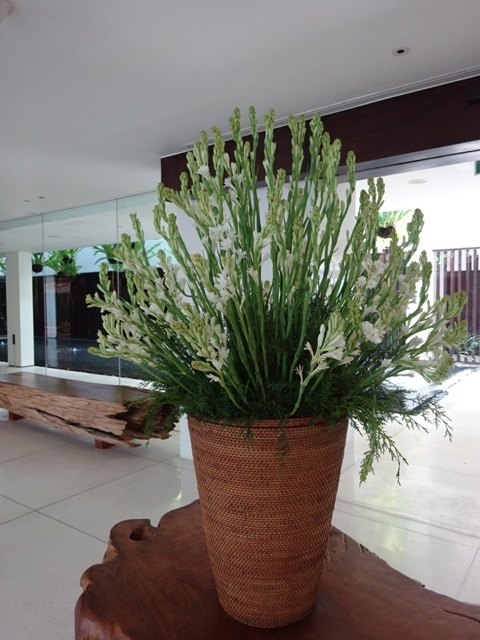 f0201054_21330517.jpg