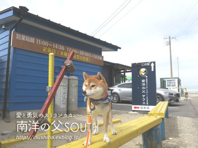 柴犬連れて、海を眺めながらスリランカカレーを食べる♪\"南洋の父サウス\"@愛知県知多郡【動画あり】_a0286855_06041830.jpg