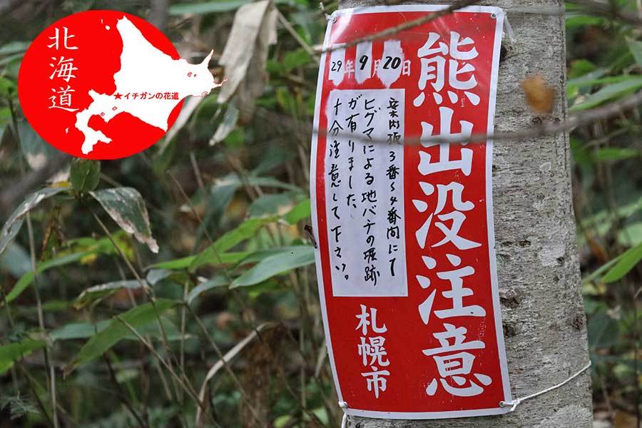 札幌市のクマ出没看板について イチガンの花道 札幌市のクマ出没看板について イチガンの花道