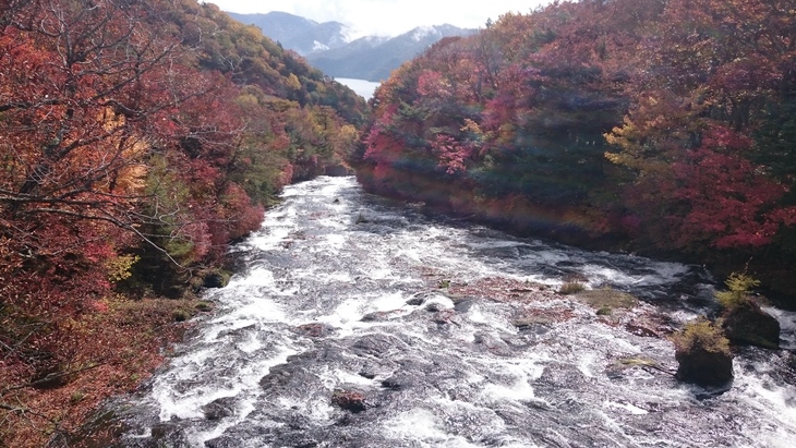 日光に・・・家族で出かけた!_e0040673_1647351.jpg