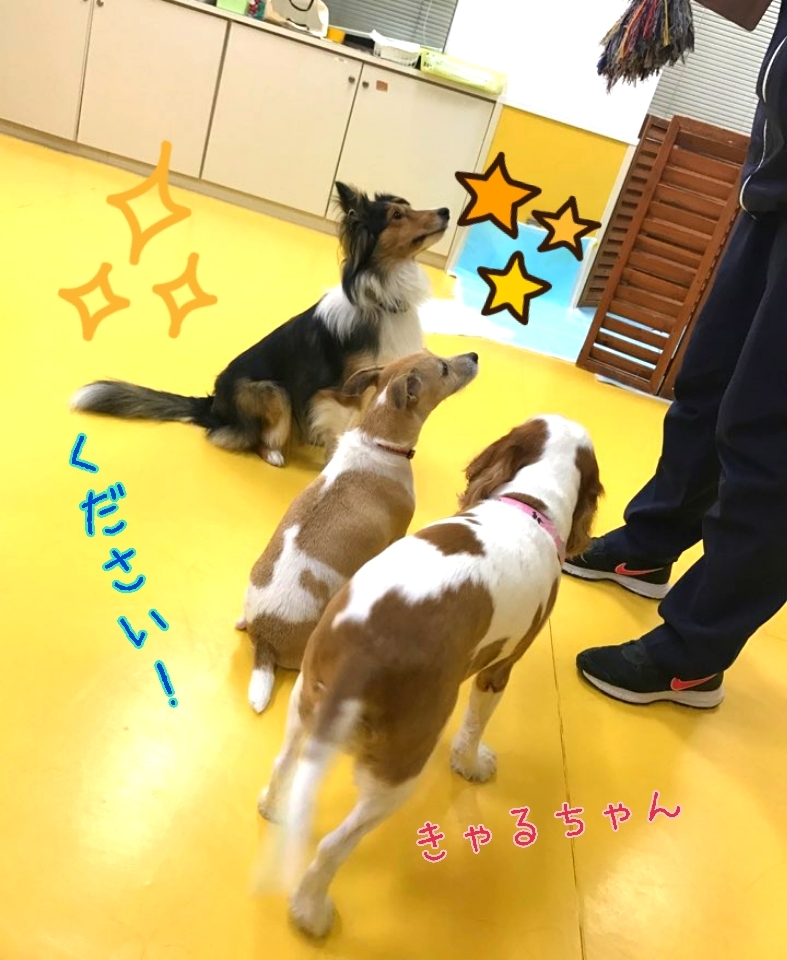 お泊まり♪_f0357682_11570197.jpg