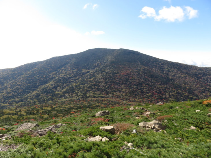 d0198793_17133267.jpg