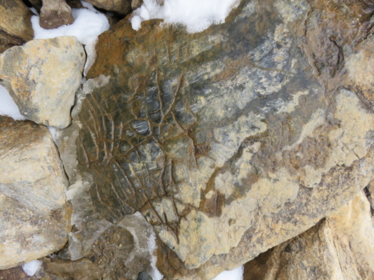 d0198793_17232034.jpg