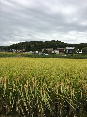 f0372998_20235800.jpg