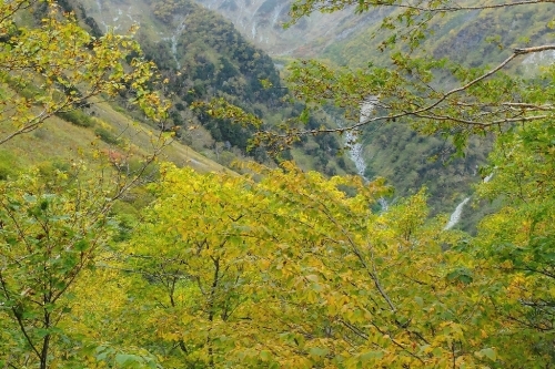 e0304001_22422037.jpg