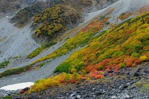 e0304001_22535528.jpg