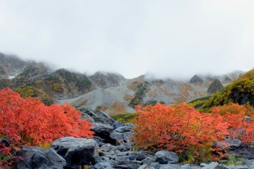 紅葉の涸沢②綺麗なナナカマド_e0304001_23073974.jpg