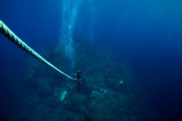 吸い込まれそうな青色が美しい(diving)。_c0368903_16070254.jpg