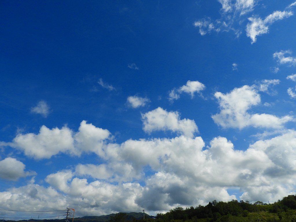 e0372207_1118632.jpg
