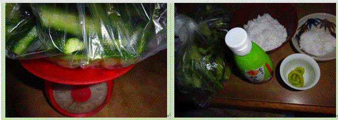 f0231709_13411683.gif