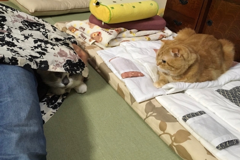 冷え込んだ朝_d0344913_09075168.jpg