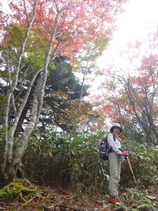 紅葉真っ盛り　川上岳(1,625.5M) 　登頂編　NO １_d0170615_08464174.jpg