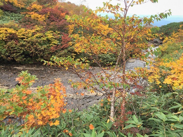 栗原市　みちのくの紅葉を求めて栗駒山　　　　　Mount Kurikoma in Kurihara, Miyagi　_f0308721_02050483.jpg