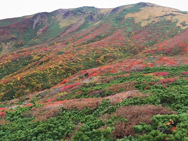 栗原市　みちのくの紅葉を求めて栗駒山　　　　　Mount Kurikoma in Kurihara, Miyagi　_f0308721_02151537.jpg