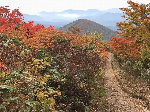 栗原市　みちのくの紅葉を求めて栗駒山　　　　　Mount Kurikoma in Kurihara, Miyagi　_f0308721_02153146.jpg