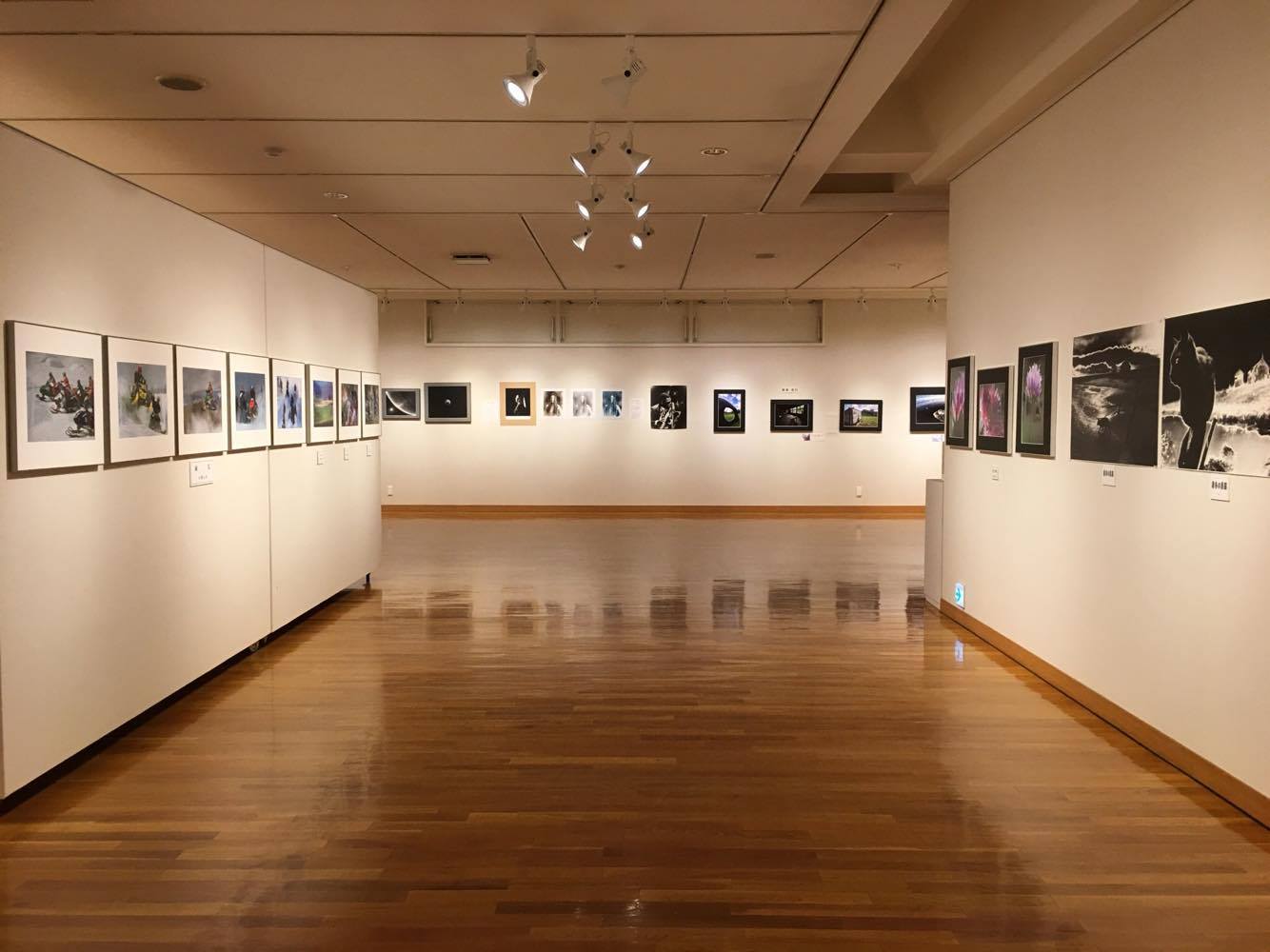 東川町文化ギャラリーで開催中の作品展です_b0187229_10570571.jpg