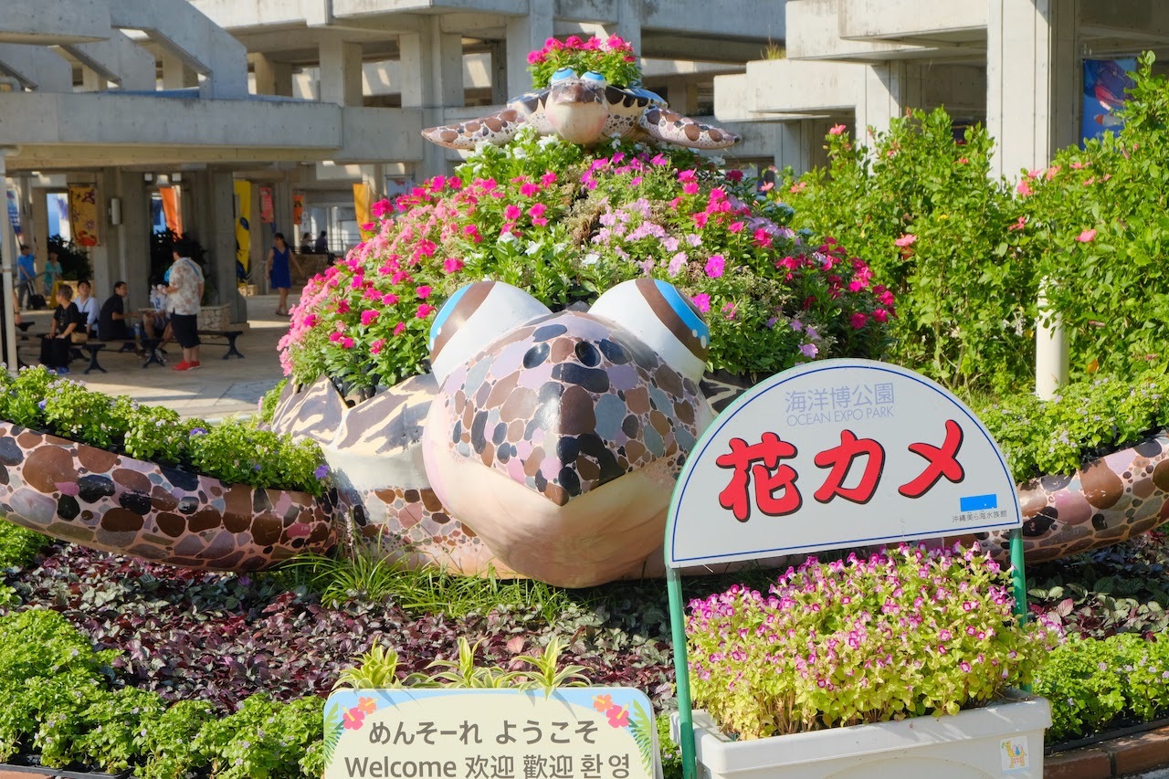 b0024832_13343396.jpg