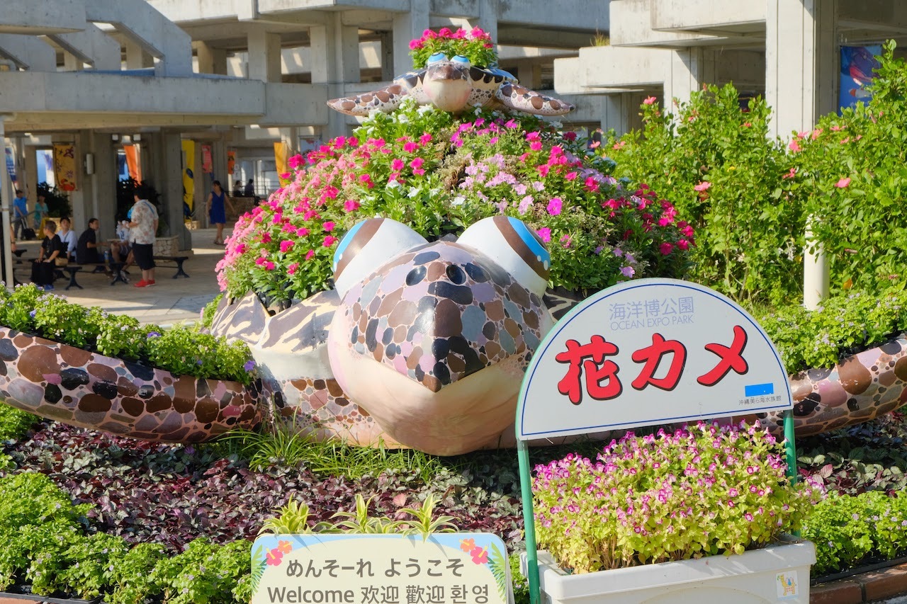 沖縄旅行（3）2日目 ～美ら海水族館、瀬底ビーチ、松の古民家〜_b0024832_13343396.jpg