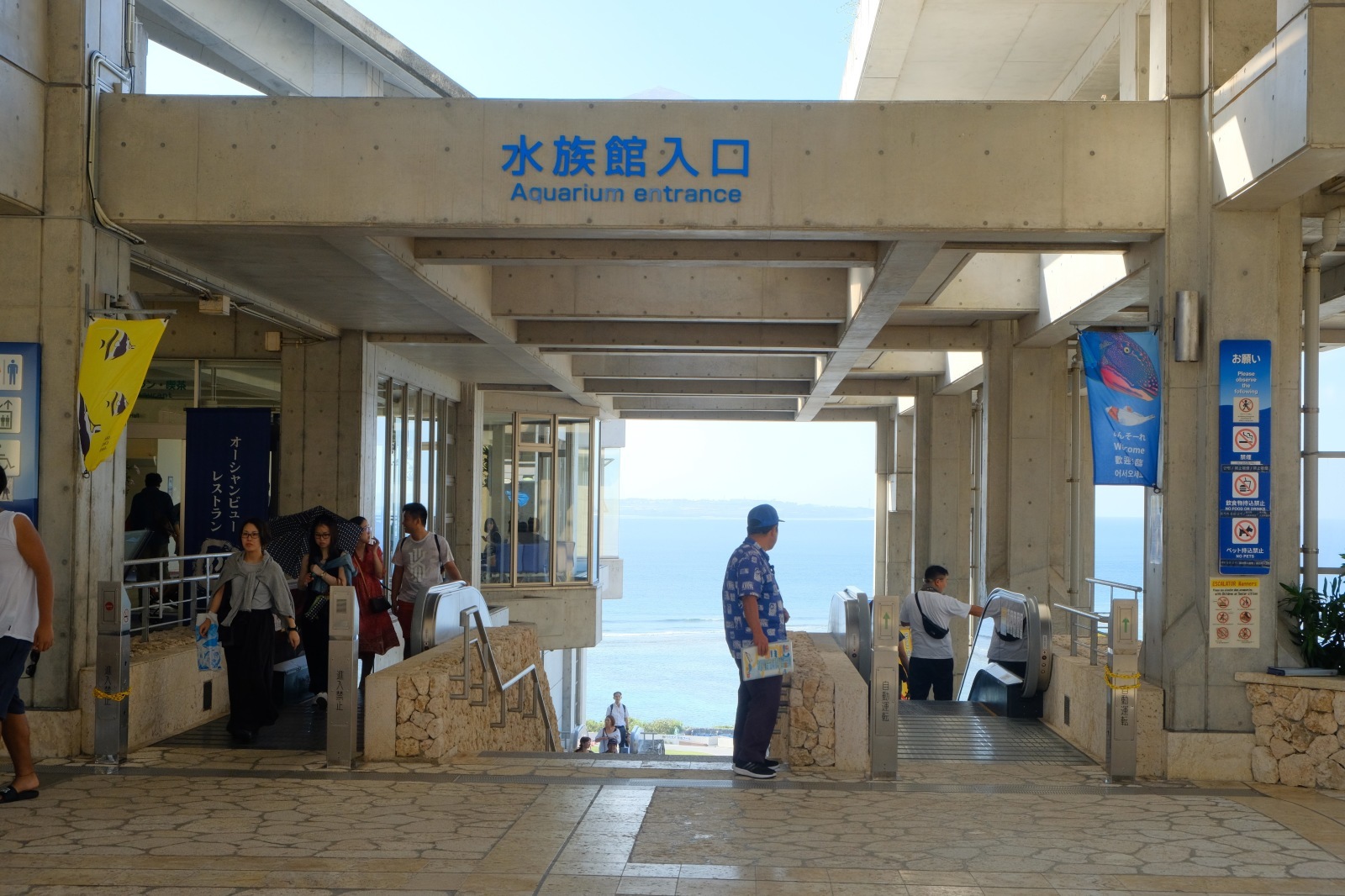 沖縄旅行（3）2日目 ～美ら海水族館、瀬底ビーチ、松の古民家〜_b0024832_13353524.jpg