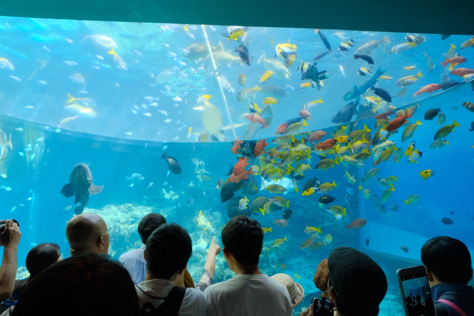 沖縄旅行（3）2日目 ～美ら海水族館、瀬底ビーチ、松の古民家〜_b0024832_13370892.jpg