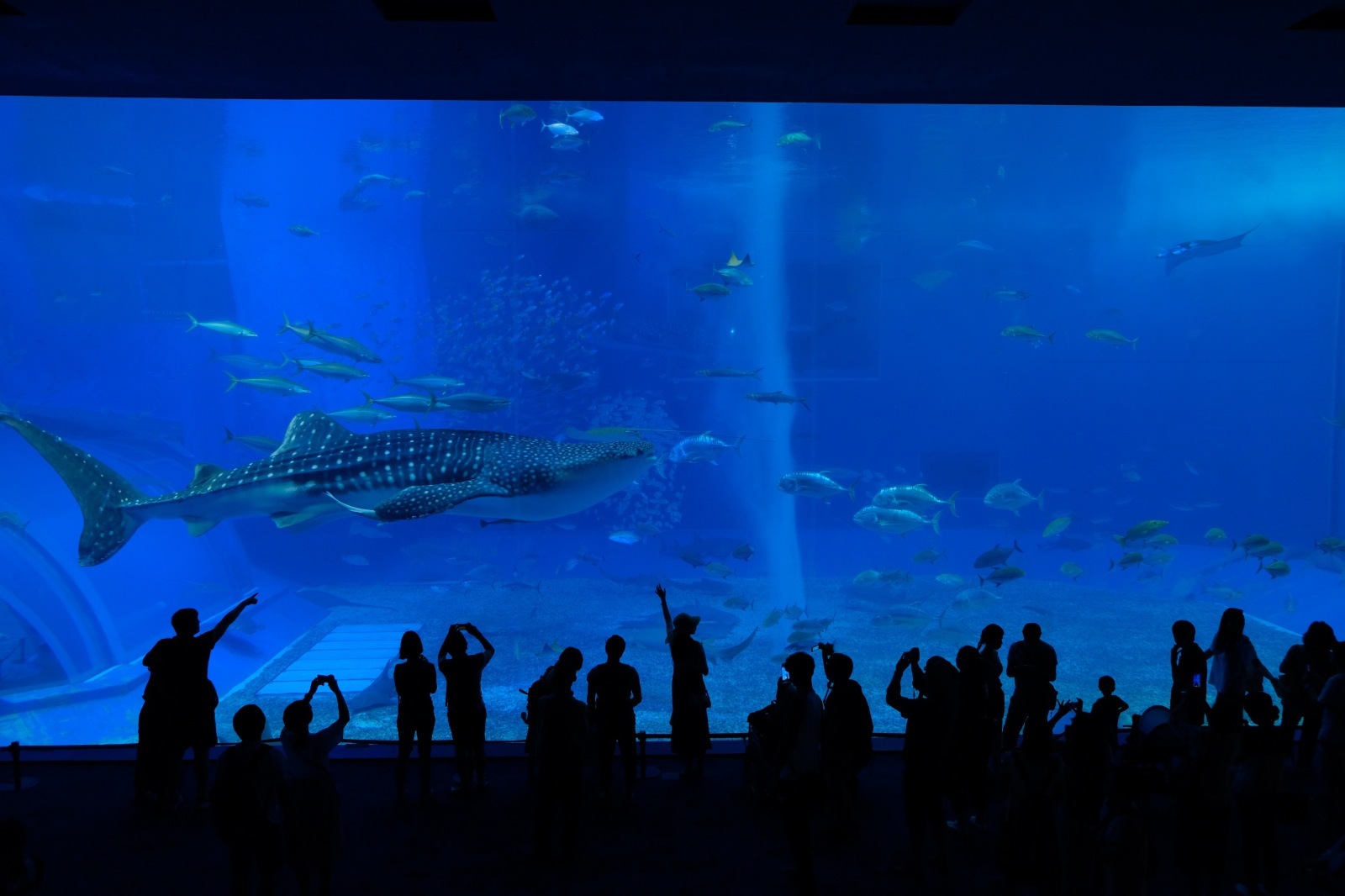 沖縄旅行（3）2日目 ～美ら海水族館、瀬底ビーチ、松の古民家〜_b0024832_13390961.jpg