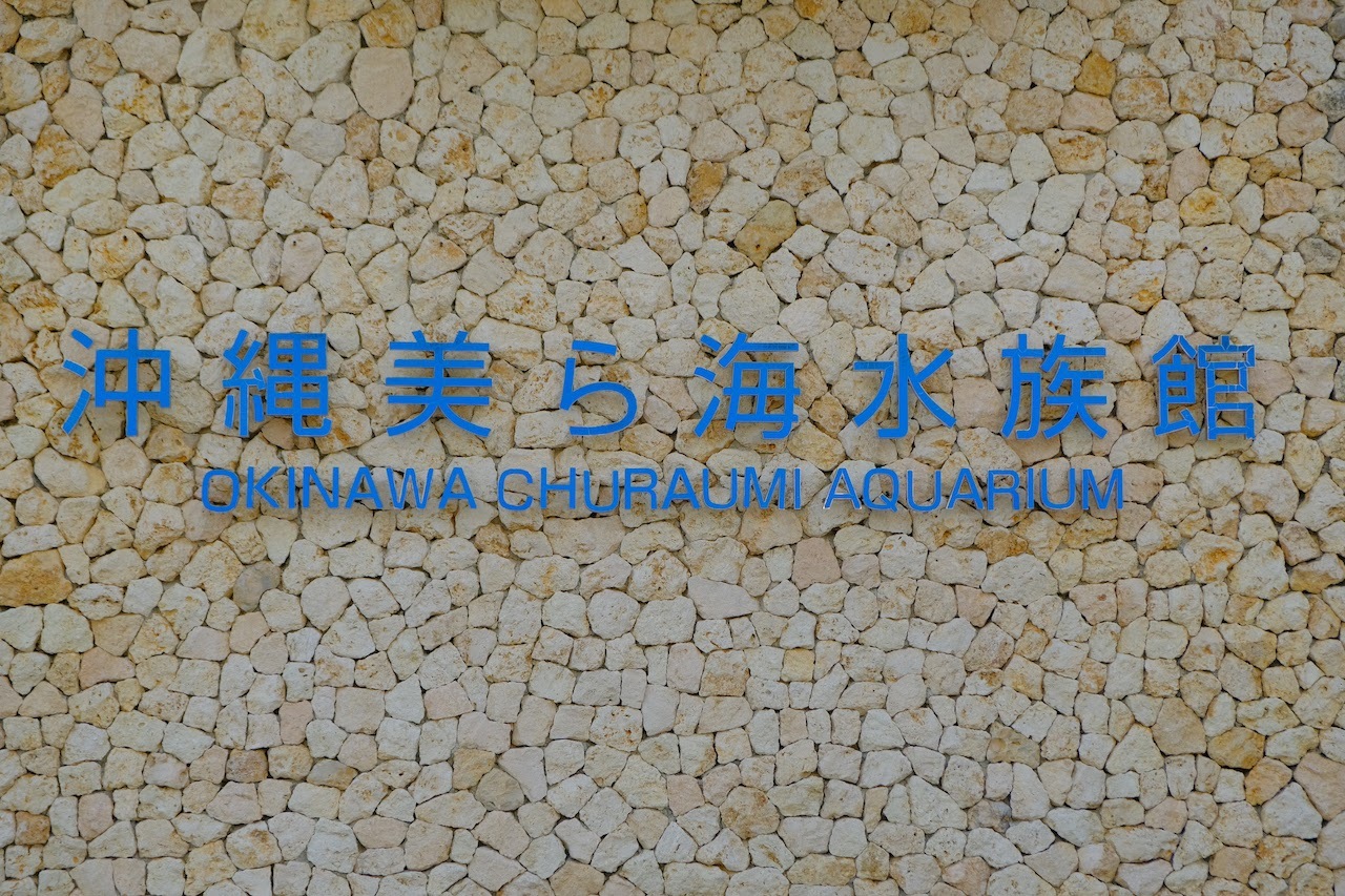 b0024832_13435960.jpg