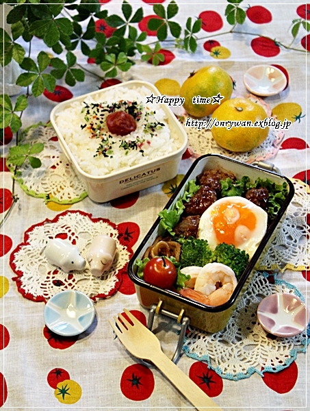 煮込みハンバーグ弁当と初IKEA♪_f0348032_18564119.jpg