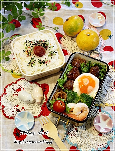 煮込みハンバーグ弁当と初IKEA♪_f0348032_18565262.jpg