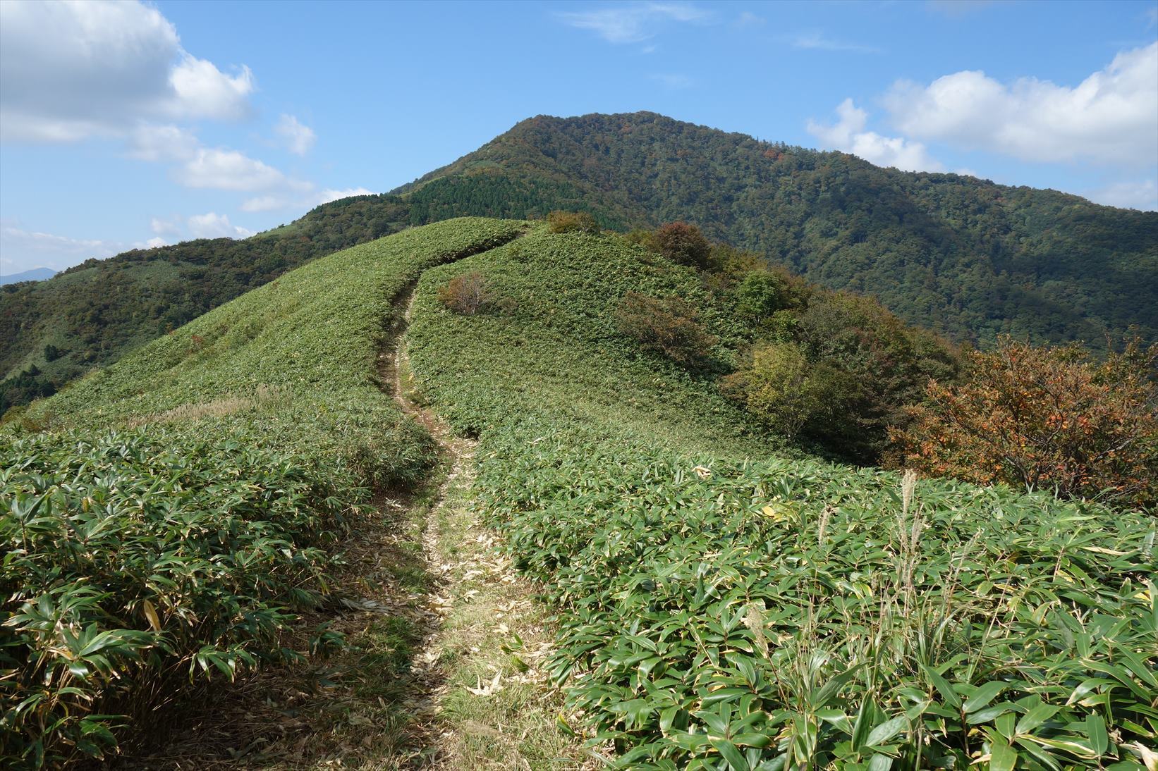 △　初秋の伯耆富士（大山）＆ 蒜山三座（下~上蒜山）　≪後編≫　△_f0348933_16382532.jpg