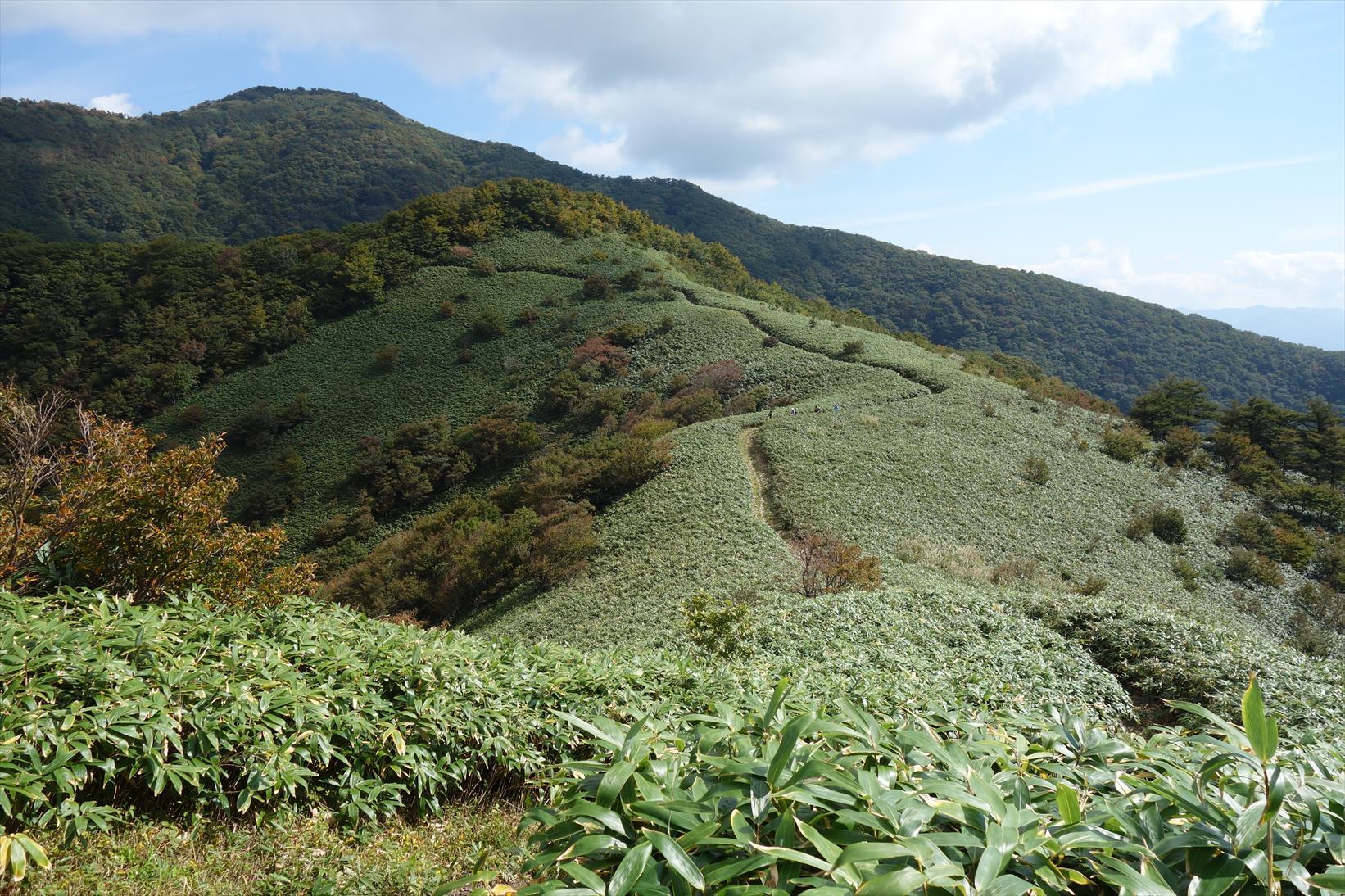 △　初秋の伯耆富士（大山）＆ 蒜山三座（下~上蒜山）　≪後編≫　△_f0348933_16393323.jpg