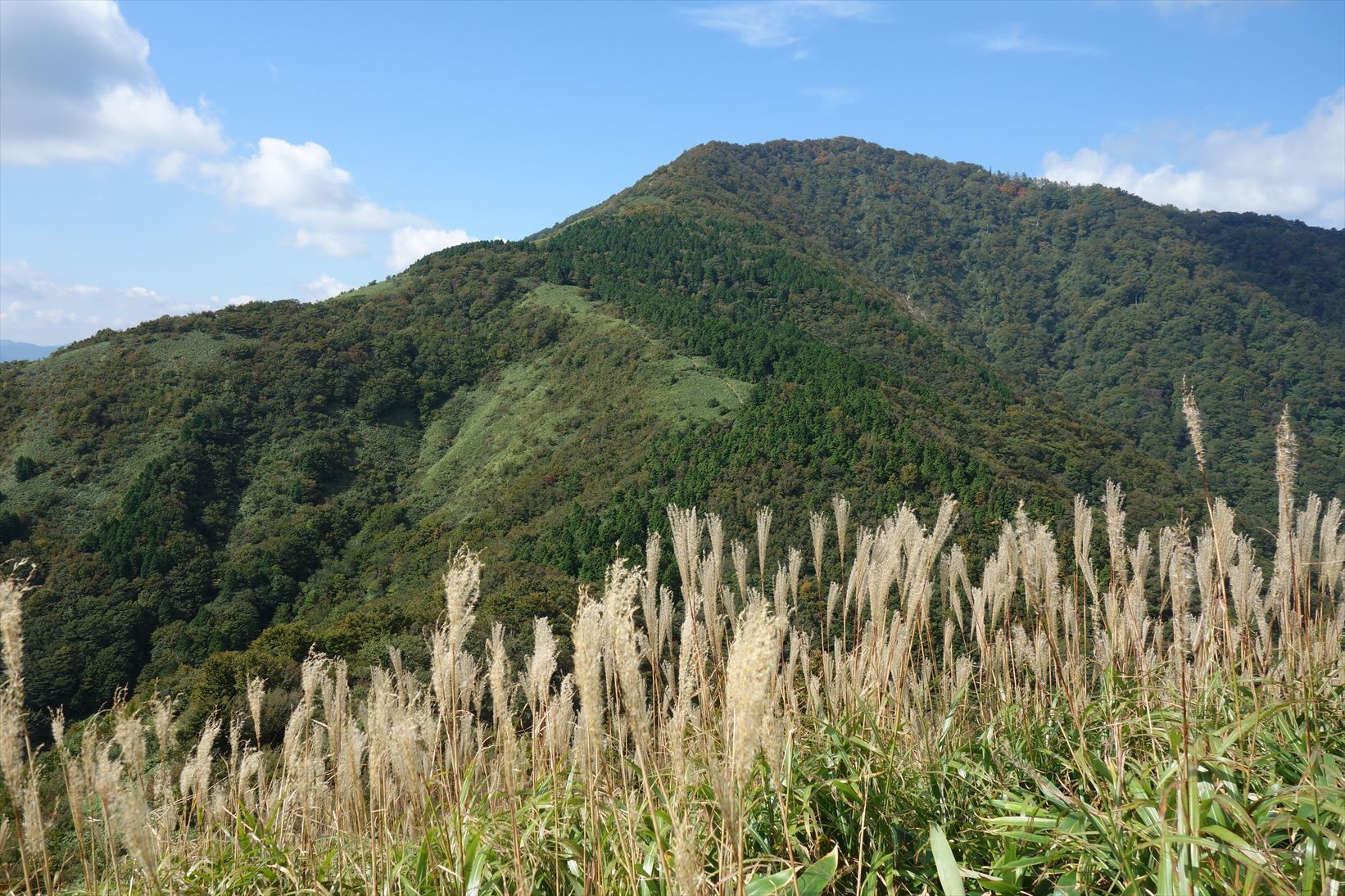 △　初秋の伯耆富士（大山）＆ 蒜山三座（下~上蒜山）　≪後編≫　△_f0348933_16420488.jpg