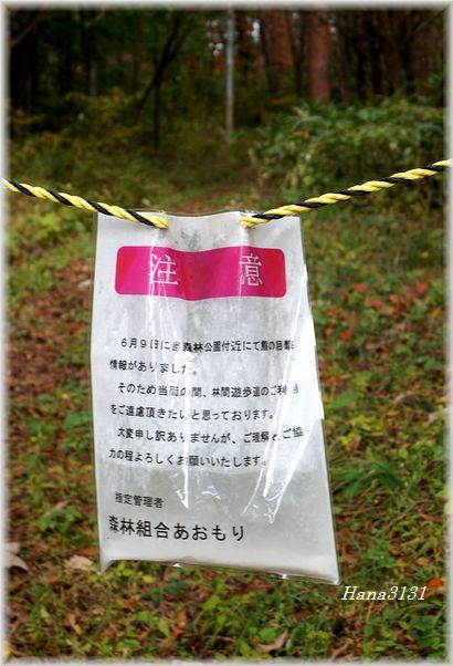 c0249836_20210462.jpg