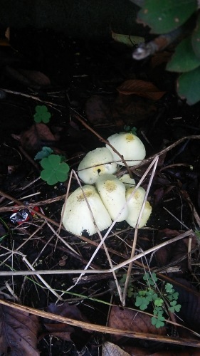 c0338136_17154680.jpg