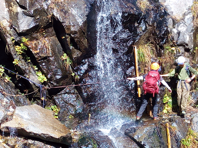 e0371039_11183410.gif