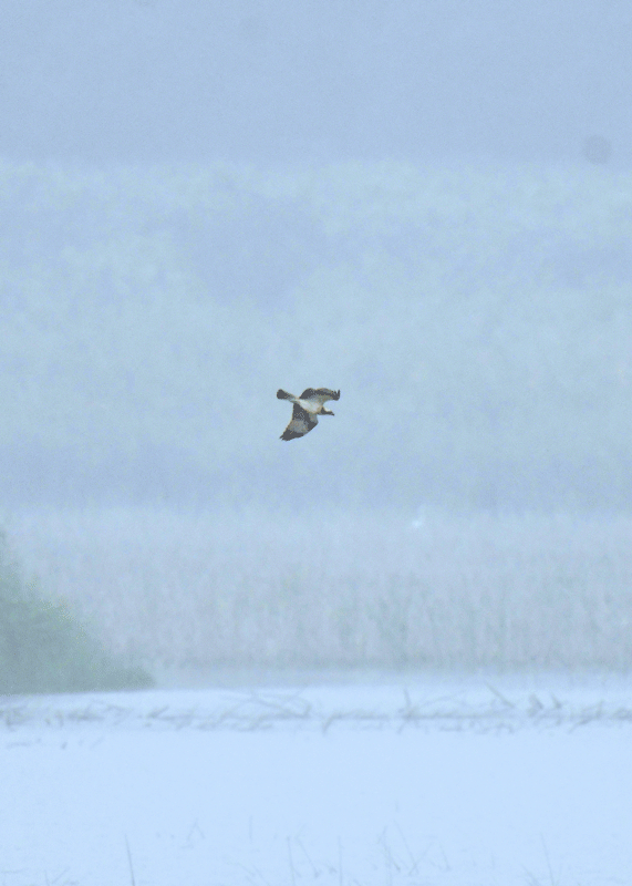 d0290240_13370403.gif