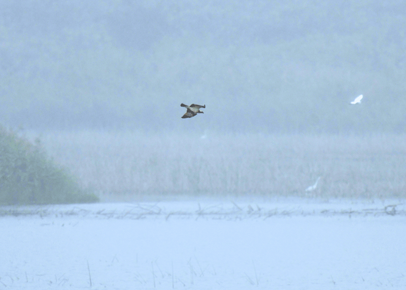 d0290240_13372181.gif