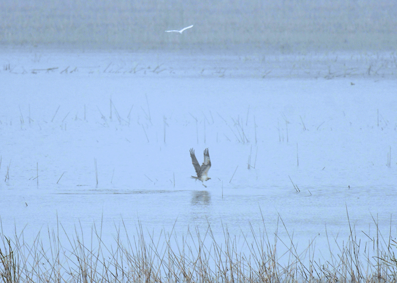 d0290240_13381318.gif