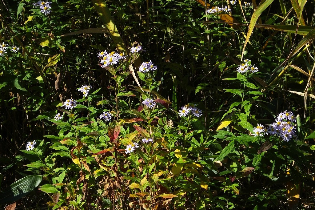 b0236251_10522684.jpg