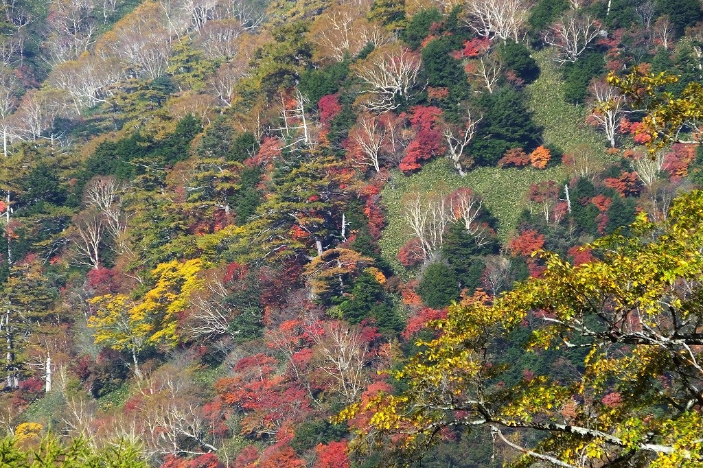 b0236251_10534801.jpg